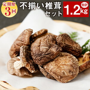 yӂ邳Ɣ[Łzy3Az ső 10܃Zbg 40g×10×3 v1.2kg Zbg 3 ő VC^P 󂠂 ő   v[g  啪Y 