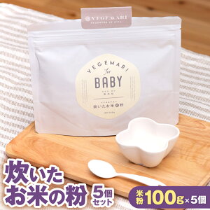 yӂ邳Ɣ[ŁzĂ̕ 5 Zbg v500g 100g×5 邿 qmqJ ĕ H ȒP pE_[  M Y B 啪 