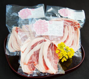 【ふるさと納税】イノシシ肉スライス250g×3パック合計750g猪肉いのしし肉お肉精肉焼肉カレーすき焼きしし汁しし鍋ぼたん鍋ジビエ天然冷凍九州産大分県産送料無料