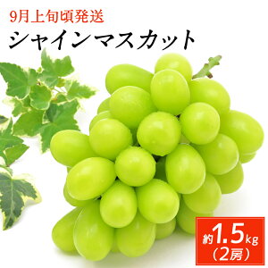 yӂ邳Ɣ[ŁzVC}XJbg 2[ v1.5kg ʕ t[c uhE Ԃǂ  { 啪Y BY ① Y \ y2025N9{10{\z yVX[p[SALE 9