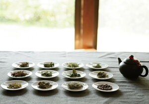 【ふるさと納税】発酵野草茶2個セット60g×2袋お茶山野草豊後大野市大分県産送料無料