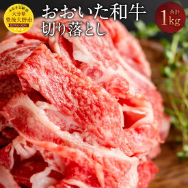 【ふるさと納税】おおいた和牛 切り落とし 計1kg（250g×4P）牛肉 和牛 肉 切落し 小分け パック ブランド牛 おおいた豊後牛 黒毛和牛 国産 九州産 大分県産黒毛和牛 冷凍 大分県 豊後大野市 送料無料