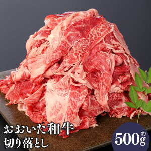 yӂ邳Ɣ[Łza ؂藎Ƃ 500g    Y a 4ȏ  Ef o Ă ē J[ V`[ Ⓚ Ls  yVX[p[SALE 9J