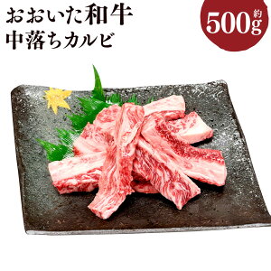 yӂ邳Ɣ[Łza Jr 500g    ao 󏭕  Y 4ȏ Ⓚ Ls  yVX[p[SALE 9J