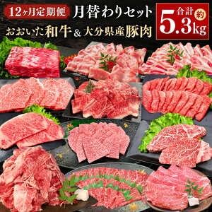 yӂ邳Ɣ[Łzy12ցzւ邨a&啪YؓZbgI v5.35kg 12 aւ  ؓ 12    1|hubN ~XW [X 