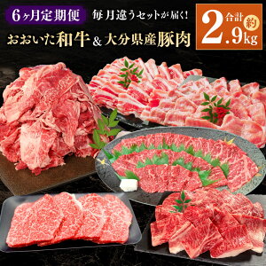 yӂ邳Ɣ[Łzy6ցzႤZbg͂Ia&啪YؓZbg v2.9kg a  ؓ ւ Hה 6   a؂藎Ƃ   ؃o 