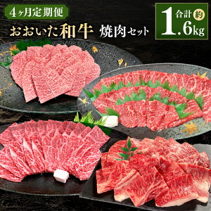 yӂ邳Ɣ[Łzy4ցzaēZbg v1.6kg a a  ւ Hה 4   ē Ă BBQ o[xL[   ~XW [X J