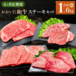 yӂ邳Ɣ[Łzy4ցzaXe[LZbg v1.6kg a a  ւ Hה 4   ē Ă BBQ o[xL[  ~XW T[C