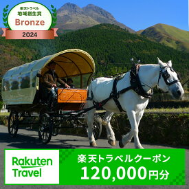 【ふるさと納税】【楽天トラベル 地域創生賞2024ブロンズ受賞】大分県由布市（湯布院、由布院、湯平、塚原高原）の対象施設で使える楽天トラベルクーポン 寄付額400,000円
