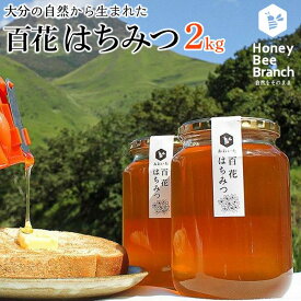 【ふるさと納税】由布市産 「おおいた百花はちみつ」2kg（1kg入瓶×2本） | 大分県 由布市 大分 九州 返礼品 蜂蜜 百花はちみつ 百花蜂蜜 国産はちみつ 国産ハチミツ 国産蜂蜜 純粋はちみつ 純粋ハチミツ ギフト プレゼント お返し 湯布院 由布院 ゆふいん