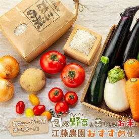 【ふるさと納税】江藤農園おすすめ【旬の野菜（12～15種類）とお米（2kg）】のセット | 湯布院 詰め合わせ | 新鮮野菜 自慢の野菜 12種以上 旬野菜 お米 2キロ セット 詰め合わせ 九州 大分県 湯布院 由布院 送料無料