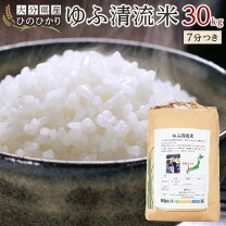 楽天市場】大分山香米（白米｜米・雑穀）：食品の通販