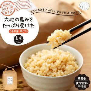 yӂ邳Ɣ[Łzy_Ew엿sgpzňb݂Ղ󂯂 邿ā@Ёiāj5kg | ʌ  5kg Nu S ̕  _ƒ _ƃXg z@ 