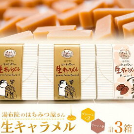 【ふるさと納税】【湯布院のはちみつ屋さん】国産蜂蜜を使用した2種の生キャラメル（プレーン×2・アーモンド）各12粒入り 計3箱 | 蜂蜜専門店 ハチミツ 洋菓子 キャラメル 食べ比べ 返礼品 お取り寄せグルメ 人気 送料無料 取り寄せ 湯布院 由布院 ゆふいん
