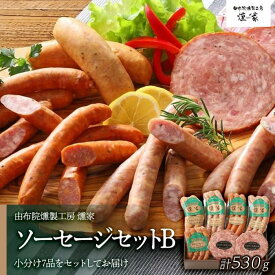 【ふるさと納税】【由布院燻製工房 燻家】ソーセージセットB 計530g＜小分け7品をセットしてお届け＞ | 小分け あらびウインナー ウインナー 詰め合わせ セット 加工品 おつまみ お取り寄せグルメ お取り寄せ グルメ 湯布院 由布院 ゆふいん