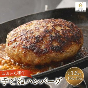 yӂ邳Ɣ[Łza啪Y  育 no[O 160g×10 v1.6kg a\[Xt | ߂邾  Z Z ȒP y n nO 