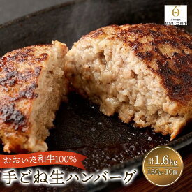 【ふるさと納税】おおいた和牛100%使用！ 特製 手ごね 生 ハンバーグ 160g×10個 計1.6kg | 牛100％ 和牛 牛肉 お肉 手作り 焼くだけ 惣菜 時短 時短料理 特産 名産品 ご当地 ご当地グルメ お取り寄せ 送料無料 湯布院 由布院 ゆふいん