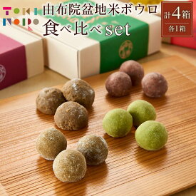 【ふるさと納税】サクッホロッ食感♪由布院盆地米ボウロ 4種食べ比べ セット【由布院ときの色】 | ボウロ ぼーろ クッキー チョコレート 抹茶 ほうじ茶 紅茶 スイーツ お菓子 焼き菓子 デザート お取り寄せ 湯布院 由布院 ゆふいん