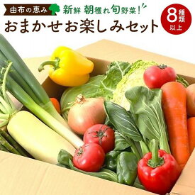 【ふるさと納税】由布の恵み【新鮮 朝穫れ旬野菜！8種類以上！】おまかせお楽しみセット | 野菜 詰合せ 詰め合わせ 新鮮 湯布院 由布院 ゆふいん 大分県 由布市 大分 返礼品 楽天ふるさと お取り寄せグルメ 取り寄せ