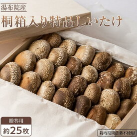 【ふるさと納税】【全国銅賞受賞】＜贈答用＞桐箱入り特品しいたけ(約400g・サイズ混合約25枚)｜栽培期間農薬不使用 | シイタケ きのこ 返礼品 支援 お取り寄せグルメ お取り寄せ グルメ ギフト 名産品 贈答 ご当地 国産 湯布院 由布院