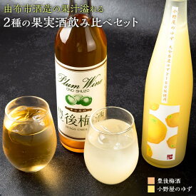 【ふるさと納税】【小野酒造】果実酒 2種 計2本 飲み比べセット（豊後梅酒720ml・小野屋のゆず500ml） | 大分県 由布市 大分 返礼品 支援 飲み比べ 飲み比べセット お取り寄せ アルコール 果実酒 詰め合わせ セット ゆず 梅 梅酒 柑橘 ゆず酒 湯布院 由布院