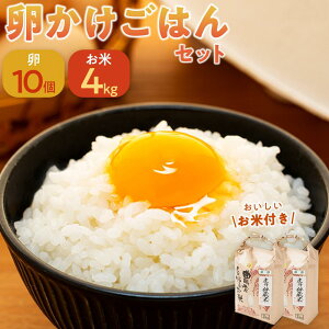 yӂ邳Ɣ[Łzт1CɁґ򗑂͂Zbg啪 Hp10E_āiāj4kgi2kg×2܁j |  ͂  G{  ܂ ʎq 