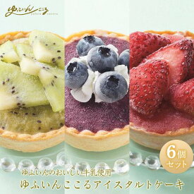 【ふるさと納税】ゆふいんここる【アイスタルトケーキ】6個セット（ベリーツ苺・ブルーベリー・キウイ）＜ゆふいんのおいしい牛乳＞ | 北海道・沖縄配送不可 アイスタルト タルト 人気 おすすめ アイス アイスクリーム ケーキ おしゃれ プレゼント 湯布院 由布院 ゆふいん