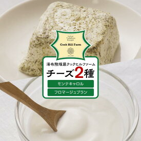 【ふるさと納税】ゆふいん牛乳でつくった 特選 無添加 チーズ 2種類（フロマージュブラン・モンテキャトル）セット＜湯布院クックヒルファームからお届け＞ | チーズ クリームチーズ 詰め合わせ 詰合せ 湯布院 由布院 ゆふいん 大分県 由布市 大分 お取り寄せグルメ 食べ比べ