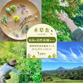 【ふるさと納税】【由布の自然体験セット】野草研究会お散歩コース・カフェチケットセット 1名様分【木草舎ーもくそうやー】 | 観光 探索 体験チケット 散歩 自然 由布岳 トラベル 旅行 旅 湯布院 由布院 由布市 ゆふいん 券 チケット 人気 おすすめ 送料無料
