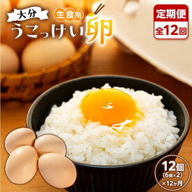 【ふるさと納税】【定期便 全12回】大分うこっけい卵　生食用12個（6個×2パック）＜お試しサイズ／使い切りにぴったり！＞ | お試し 烏骨鶏 卵 たまご 玉子 生卵 高級 納税 支援品 返礼品 お礼の品 特産 名産品 ご当地 ご当地グルメ お取り寄せ グルメ