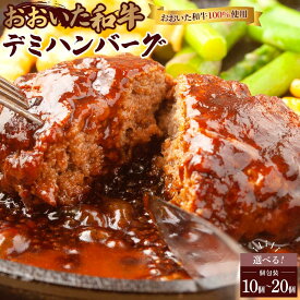 【ふるさと納税】＜おおいた和牛100％使用＞デミハンバーグ 個包装 10個～20個 | 国産和牛 おおいた和牛 大分県 ご当地 ご当地グルメ お取り寄せ 冷凍 ハンバーグ 大量 詰め合わせ 詰合せ セット和牛 牛肉 牛 肉 お肉 湯布院 由布院 ゆふいん