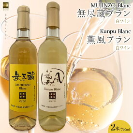【ふるさと納税】無尽蔵ブラン・薫風ブラン 白ワイン 720ml×各1本 計2本＜由布院ワイナリー＞ | ワイン 赤ワイン 果実酒 酒 お酒 アルコール 瓶 なし ぶどう 葡萄 フルーツ 果物 ご当地 お土産 ギフト お取り寄せ 人気 おすすめ