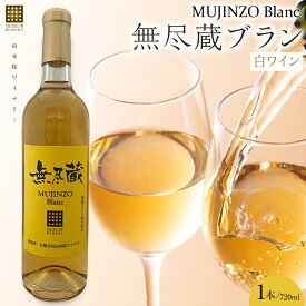 【ふるさと納税】無尽蔵ブラン 白ワイン 720ml×1本＜由布院ワイナリー＞ | ワイン 赤ワイン 果実酒 酒 お酒 アルコール 瓶 なし ぶどう 葡萄 フルーツ 果物 ご当地 お土産 ギフト お取り寄せ 人気 おすすめ 湯布院 由布院 ゆふいん 数量限定