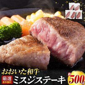 【ふるさと納税】【厳選希少部位】おおいた和牛 ミスジステーキ 約500g（100g×5p） | 肉 お肉 にく 食品 大分県産 人気 おすすめ 送料無料 ギフト ゆふいん 由布院 湯布院
