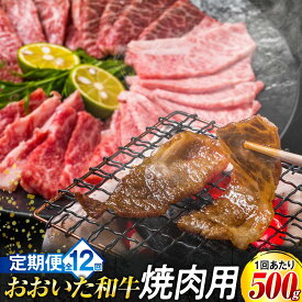 【ふるさと納税】【定期便 全12回】おおいた和牛 焼肉用 500g | 肉 お肉 にく 食品 大分県産 人気 おすすめ 送料無料 ギフト ゆふいん 由布院 湯布院