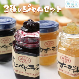 【ふるさと納税】＼年内発送／ 【食工房　風曜日】2種のジャムセット（ブルーベリー・ゆず） | 由布市 大分県産 ブルーベリー ゆず ジャム こだわり素材 果実感 朝食 スイーツ ギフト お取り寄せ 由布院 湯布院 ゆふいん 大分県 由布市 ふるさと納税