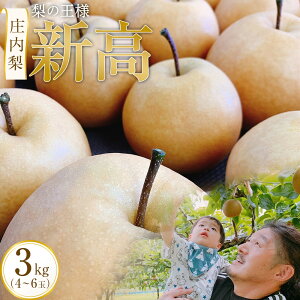 yӂ邳Ɣ[Łz̉l V 3kgi4`6ʁjy2025N10{蔭z | ʕ Ԍ Ȃ  t[c O lC     B 啪 R
