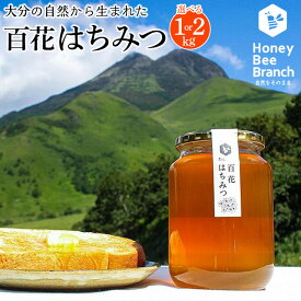 【ふるさと納税】＜選べる容量＞由布市産 「おおいた百花はちみつ」1kg・2kg（1kg×1本・2本） | 大分県 由布市 大分 九州 返礼品 蜂蜜 百花はちみつ 百花蜂蜜 国産はちみつ 国産ハチミツ 国産蜂蜜 純粋はちみつ 純粋ハチミツ