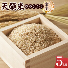 【ふるさと納税】＼年内発送／ 天領米（ひのひかり：玄米） 5kg | お取り寄せグルメ 取り寄せ グルメ 米 こめ コメ お米 ひのひかり 玄米 5キロ おこめ 美味しい米 湯布院 由布院 ゆふいん