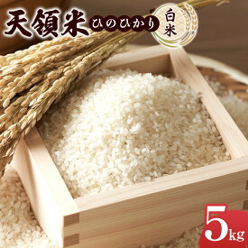 【ふるさと納税】＼年内発送／ 天領米（ひのひかり：白米） 5kg | お取り寄せグルメ 取り寄せ グルメ 米 こめ コメ お米 ひのひかり 白米 精米 5キロ おこめ 美味しい米 湯布院 由布院 ゆふいん