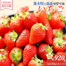 【ふるさと納税】【2026年発送/先行予約】湯布院の温泉で育てたいちご おまかせ約920g（約230g×4パック） | 合計約1000g 種類はおまかせ イチゴ 苺 さがほのか 紅ほっぺ よつぼし ベリーツ おいCベリー フルーツ 果物 人気 送料無料 九州 大分県 湯布院 由布院 ゆふいん