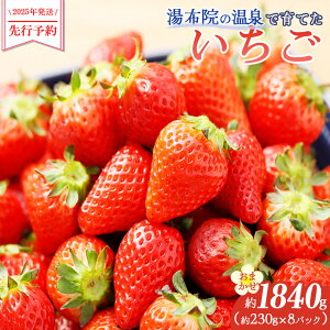 yӂ邳Ɣ[Łzy2026N/s\zz@̉ňĂ ܂1,840gi230g×8pbNj | v 2000g ނ͂܂ C`S  ق̂ gق ڂ x[c 