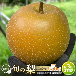 yӂ邳Ɣ[Łzy S3^2026N8`10z{̗܂5kgE6-14ʁ×3iƐL@엿E_Ew엿gpj | lC K L Â V ꣉  ɂ