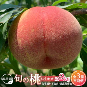 yӂ邳Ɣ[Łzy S2^2026N8E9z{̓܂2kgE6`9ʁ×2iƐL@엿E_Ew엿gpj | lC s\ 쒆    mom