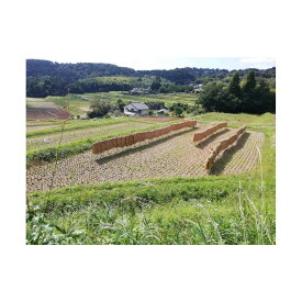 【ふるさと納税】【無農薬・化学肥料不使用】大地の恵みをたっぷり受けた うるち米　ヒノヒカリ（玄米）5kg | 数量限定 赤飯 おこわ ヒノヒカリ 拘り米 お米 農家直送 農家レストラン 湯布院 由布院 由布市 大分県 大分 九州