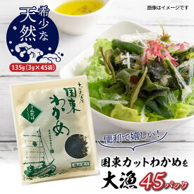 【ふるさと納税】カット わかめ 45パック 135g 3g×45p 小分け 乾燥 便利 人気 味噌汁 酢の物 サラダ スープ おにぎり 天然 国産 冷風乾燥わかめ 大分 国東 九州 海藻 シャキシャキ お取り寄せ 食品 海の幸 送料無料