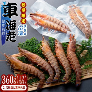 yӂ邳Ɣ[Łzʌ NxQIYⓀ ԊCV 360g