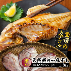 yӂ邳Ɣ[Łz̑傫I󂠂VR̈銱1.8kg