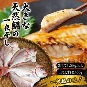 yӂ邳Ɣ[Łz傫ȓVR̈銱/31.2kgȏ