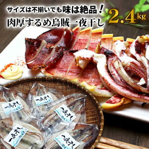 yӂ邳Ɣ[ŁzTCY͕sł͐i!߉G銱2.4kg